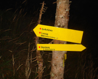 im Dunkeln gehts weiter