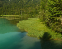 Aufstieg vom Sachensee