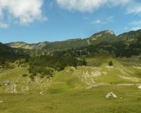 Kühalm