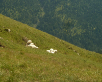 Aufstieg zum Krottenkopf