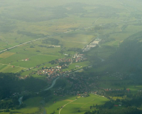 versteinerter Fisch