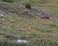 Abendglühen an der Weilheimer Hütte