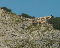 Abstieg von der Weilheimer Hütte