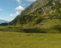 Abstieg von der Weilheimer Hütte