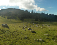 Abstieg von der Weilheimer Hütte