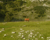 Abstieg von der Weilheimer Hütte