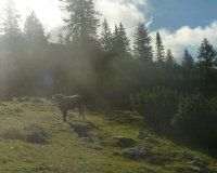 Abstieg von der Weilheimer Hütte