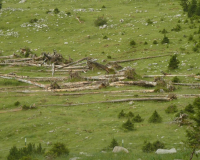 Abstieg von der Weilheimer Hütte