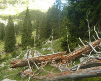 Steig zur Krüner Alm