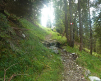 Steig zur Krüner Alm