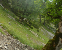 Steig zur Krüner Alm