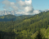 Steig zur Krüner Alm