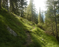 Steig zur Krüner Alm