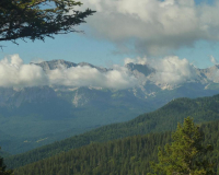 Steig zur Krüner Alm