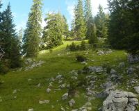 Steig zur Krüner Alm