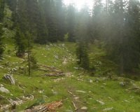 Steig zur Krüner Alm