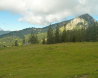 bei der Krüner Alm