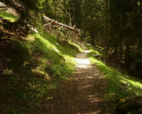 Abstieg von der Weilheimer Hütte