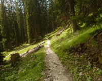 Abstieg von der Weilheimer Hütte