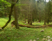 Abstieg von der Weilheimer Hütte