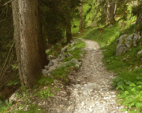 Abstieg von der Weilheimer Hütte