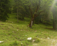 Abstieg von der Weilheimer Hütte