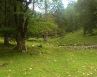 Abstieg von der Weilheimer Hütte