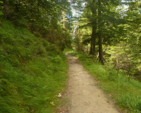 Abstieg von der Weilheimer Hütte