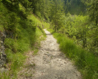 Abstieg von der Weilheimer Hütte