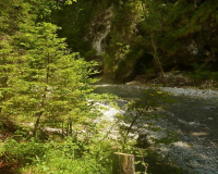 Finzbachklamm