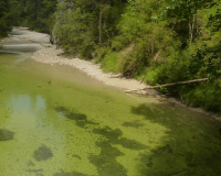 Finzbachklamm