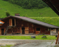 Frühlahner Binsalm
