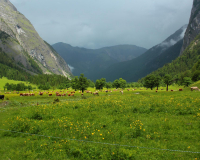 Frühlahner Binsalm
