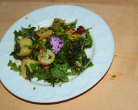 Frühlahner Binsalm Frühlahner Binsalm