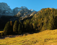 Tag 2 - Aufstieg zum Hochalplkopf (1770m) über Köpfeln (1730m)