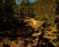 Tag 2 - Aufstieg zum Hochalplkopf (1770m) über Köpfeln (1730m)