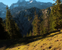 Tag 2 - Aufstieg zum Hochalplkopf (1770m) über Köpfeln (1730m)