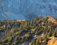 Tag 2 - Blick vom Hochalplkopf (1770m) auf
                    den Wettersteinspitzen (2298m) und Zugspitze (2962m)