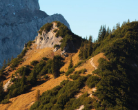 Tag 2 - Blick vom Hochalplkopf (1770m) auf
                    den Wettersteinspitzen (2298m) und Zugspitze (2962m)