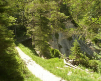 Ausblick Schwarzkopf