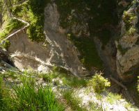 Ausblick Schwarzkopf
