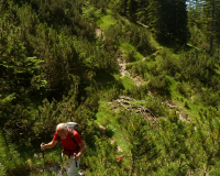 beim Felsenhüttl