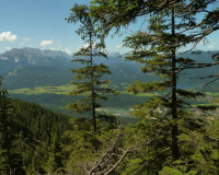 Ausblick am Seinskopf