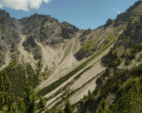 bei der Schafkehre