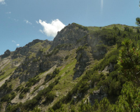 bei der Schafkehre