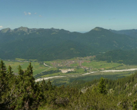 bei der Schafkehre