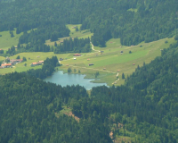 bei der Schafkehre