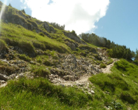 bei der Schafkehre