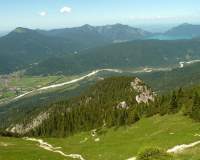 bei der Schafkehre