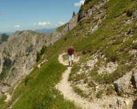 bei der Schafkehre
